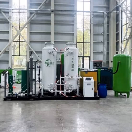 PSA Промышленный генератор кислорода Цена Мини-кислородный завод Кислородный концентратор